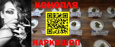 сатива Можга