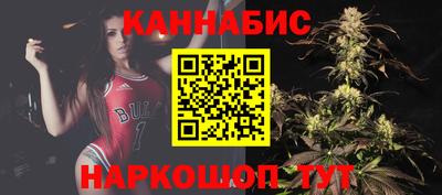 сатива Можга