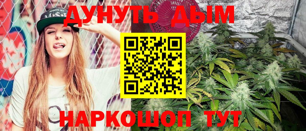 Унеча  Шишки марихуана OG Kush  Вход с VPN  Шишки марихуана SATIVA & INDICA 